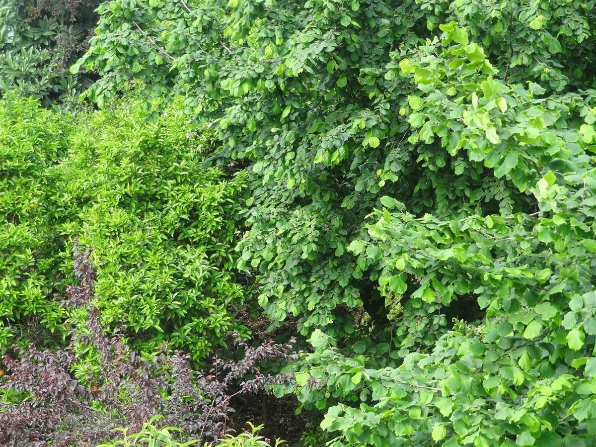 Гостевой дом Guest House TeNi Махинджаури-24
